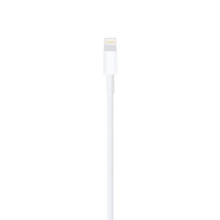 APPLE Câble Lightning 1m